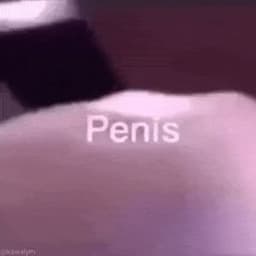 paytaaa