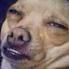 ___Timon___