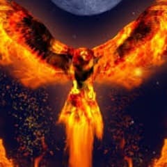 FaerFenix