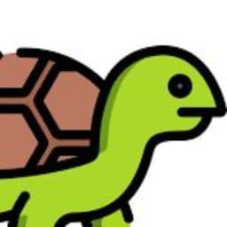 TURTLE10