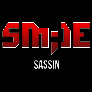 Sasssin