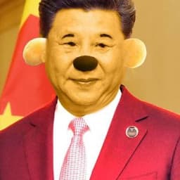 csingcsong