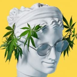 Marciodocs