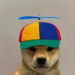 _D4M14N_