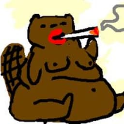 BoofBeaver