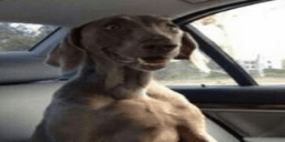 Ouroborosso