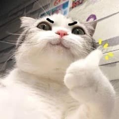 EyRaxx