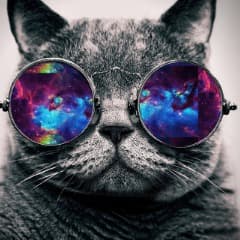 crazy_mind19