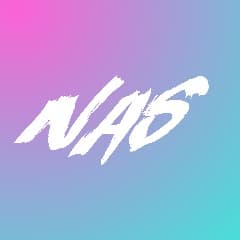 -NAS-t