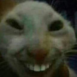 rominor
