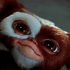 gizmo277
