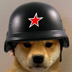 Kloppii