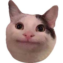 Gruchobot