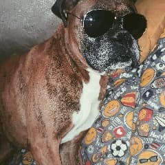 shadyffk