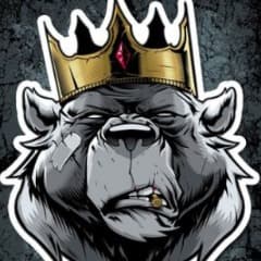 1stBaloo