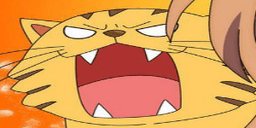 Toraaa