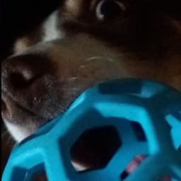 choco
