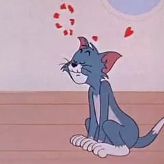 sash1kYL