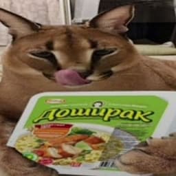 ReDF0xST