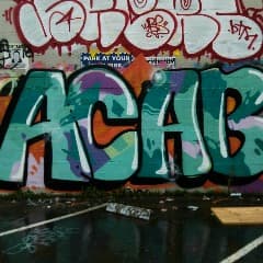 ACAB013