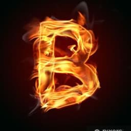 bagg1nss