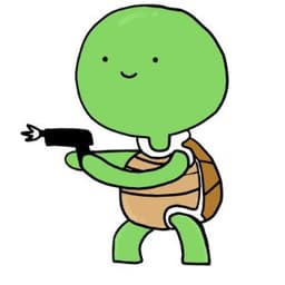 rpTurtle