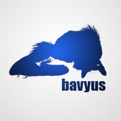 bav9