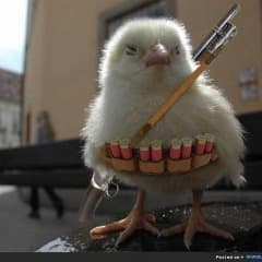 PENABOSS