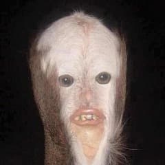 tobybling