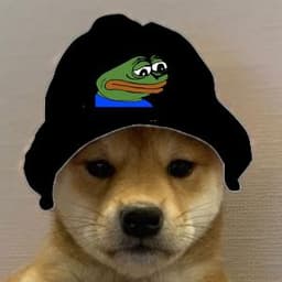 IAmADoge