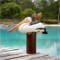 birdisthaway