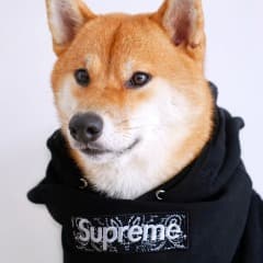 yajitsu