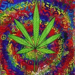 RaSTaF0RLiFe