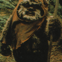 Ewokl