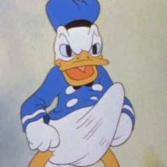 Magiesti