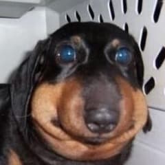 GregBmblscnt