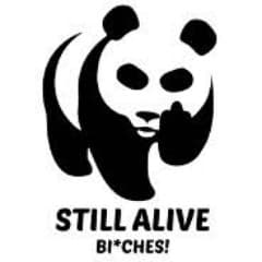 meanpanda