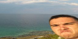 ripjee