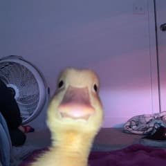 1Az0Xx
