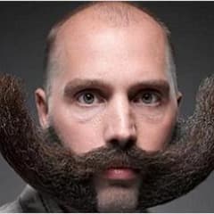MushSystem
