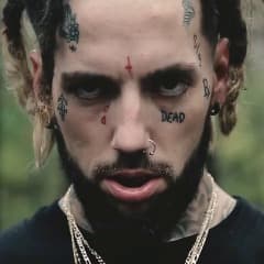 v3dom