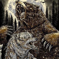 Power6wolf