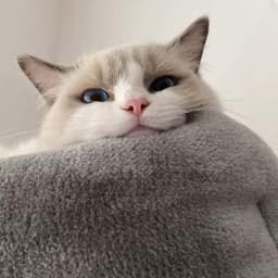 daveOne