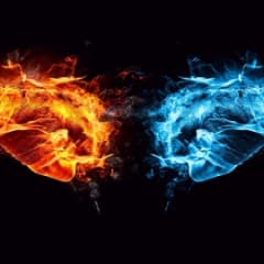 FireWox