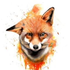 sawsent_cs
