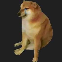 ButtpIug