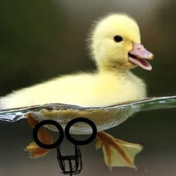 g0diago