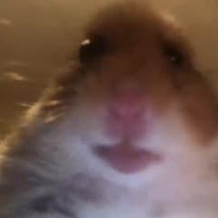 helloden2