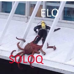 _cmpr