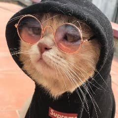 zyuksss